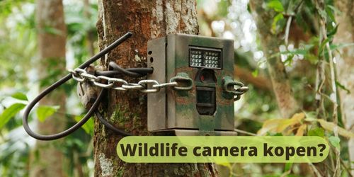 Wildlife camera kopen