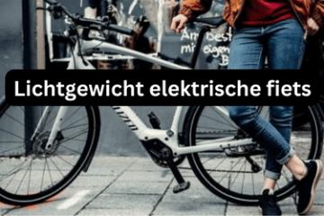 Lichte elektrische fiets